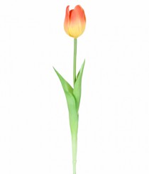 HT DE TULIPA LARANJA - Distribuidora 12 de Outubro