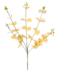 HT EUCALIPTO X5 AMARELO OUTONO - Distribuidora 12 de Outubro