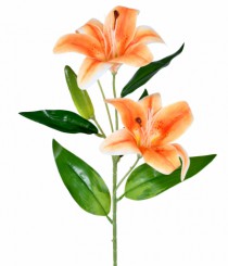 HT LIRIO X2 LARANJA - Distribuidora 12 de Outubro