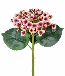 HT HORTENSIA SILVESTRE LILAS - Distribuidora 12 de Outubro