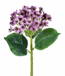 HT HORTENSIA SILVESTRE LAVANDA - Distribuidora 12 de Outubro