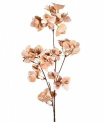 HT BOUGAINVILLE OUTONADA X3 CREME - Distribuidora 12 de Outubro