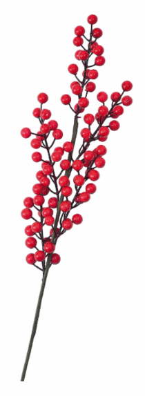 GALHO DE FRUTOS VERMELHO - Distribuidora 12 de Outubro