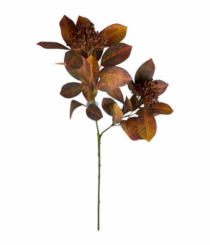 HASTE FOLHAS 67CM - Distribuidora 12 de Outubro