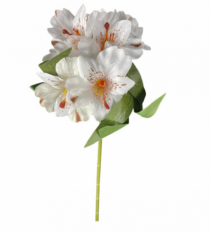 HASTE DE ASTROMELIA 46CM CREME - Distribuidora 12 de Outubro