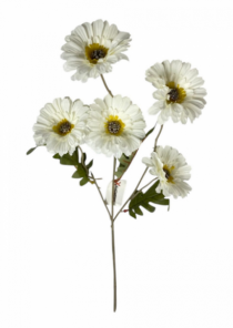 HASTE DE GERBERA 50CM CREME - Distribuidora 12 de Outubro