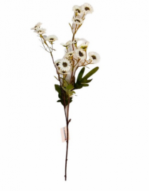 HASTE DE MINI MARGARIDA 60CM CREME - Distribuidora 12 de Outubro