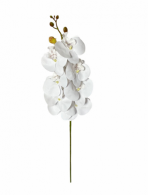 HASTE DE ORQUIDEA 94 CM BRANCO - Distribuidora 12 de Outubro