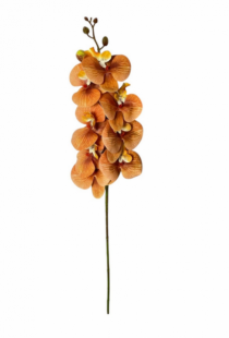 HASTE DE ORQUIDEA 94 CM OUTONADO - Distribuidora 12 de Outubro