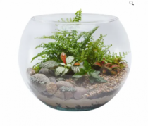 AQUÁRIO GIGANTE N°5 9,8L 22 X 29 - Distribuidora 12 de Outubro