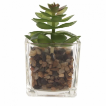 VASO 8X8CM VIDRO - Distribuidora 12 de Outubro