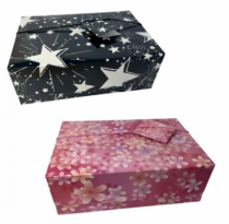 CAIXA DE PAPEL COM ELASTICO 7,7X 15,5X 22,5 C - Distribuidora 12 de Outubro