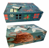 CAIXA DE PAPEL COM ELASTICO 7,7X 18X25 CM - Distribuidora 12 de Outubro