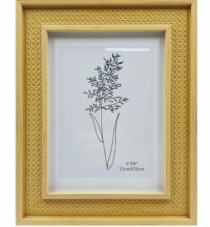 P.RETRATO HORTENSIA 15X20CM PLASTICO - Distribuidora 12 de Outubro
