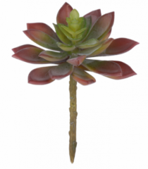 F.SUCULENTA X33 (VERMELHO OUTONO) 13CM - Distribuidora 12 de Outubro