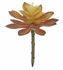 F.SUCULENTA X33 (LARANJA) 13CM (FLORARTE) - Distribuidora 12 de Outubro