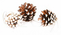 ENFEITE PINHA NEVADA 9PCS/OPP 4CM - Distribuidora 12 de Outubro