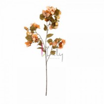 G. BOUGAINVILLE OUTONADA-AMARELO - Distribuidora 12 de Outubro