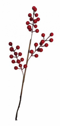 PICK MINI FRUTO SYMPLE SORT ISO 1PC 42CM - Distribuidora 12 de Outubro
