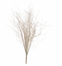 C.GRASS NATAL C/GLITTER CHAMPANHE 49CM - Distribuidora 12 de Outubro