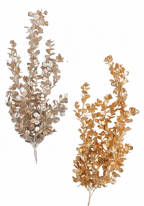 RAMO CHAMPAN FOLHAGEM SORT PT 1PC 70CM - Distribuidora 12 de Outubro